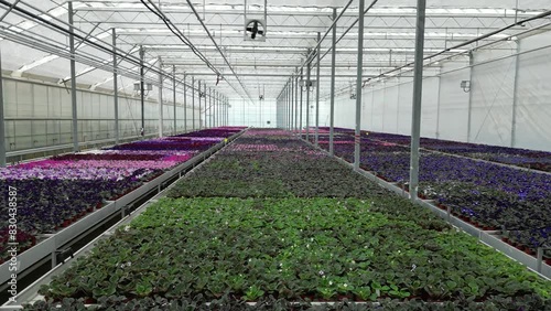 Drone Aerial Views of Greenhouses (Business Inside & Outside) in Southern Ontario Canada