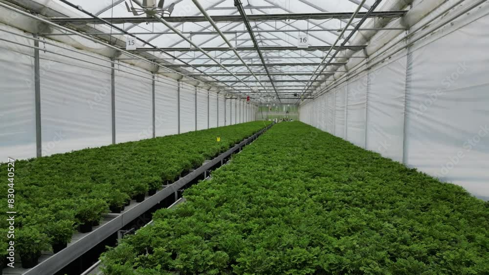 Drone Aerial Views of Greenhouses (Business Inside & Outside) in Southern Ontario Canada Drone Aerial Views of Greenhouses (Business Inside & Outside) in Southern Ontario Canada
