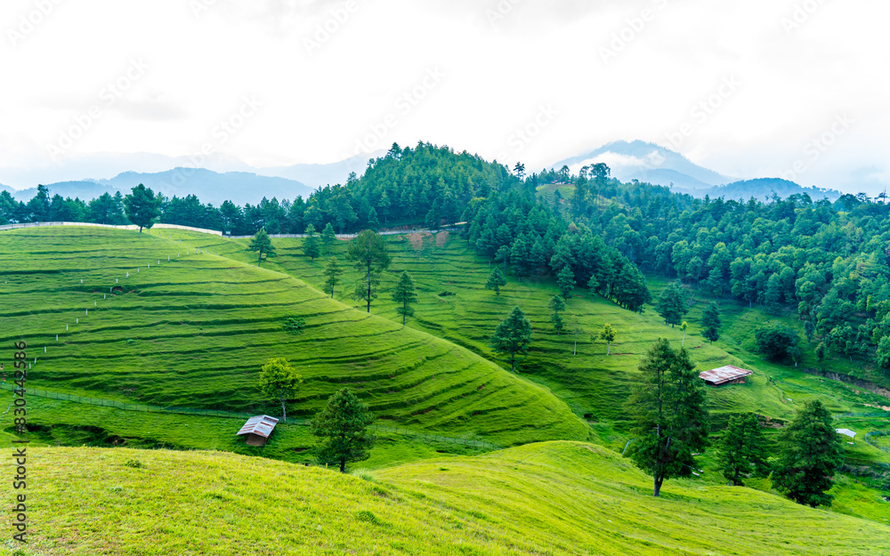 landscape view of greenery mountain hill in Nepal. landscape view of greenery mountain hill in Nepal.