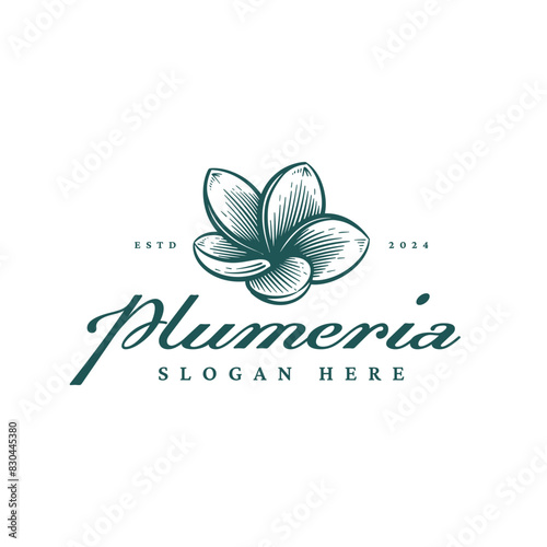 Hand Drawn Frangipani or Plumeria Flower Logo, Floral Emblem Design