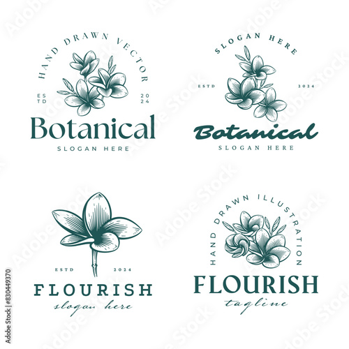 Set of Hand Drawn Frangipani or Plumeria Flower Logos, Floral Emblems Collection
