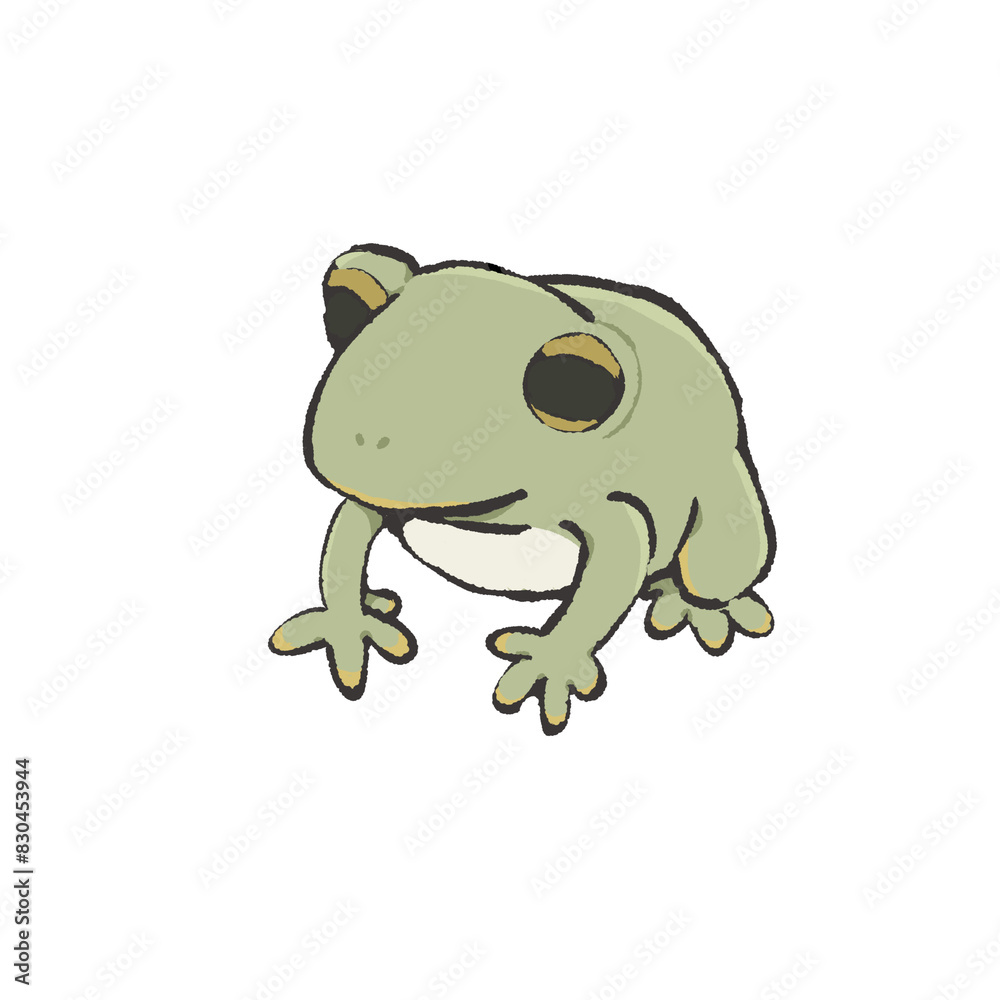 Fototapeta premium 斜めを向いたカエルのイラスト