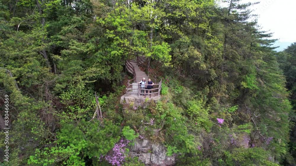Couple enjoy a scenic viewpoint in Zhangjiajie surrounded by lush greenery in Huangshizhai. Aerial Couple enjoy a scenic viewpoint in Zhangjiajie surrounded by lush greenery in Huangshizhai. Aerial