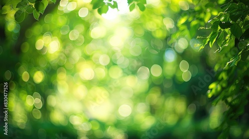 Blurry green background in a forest with bokeh effect