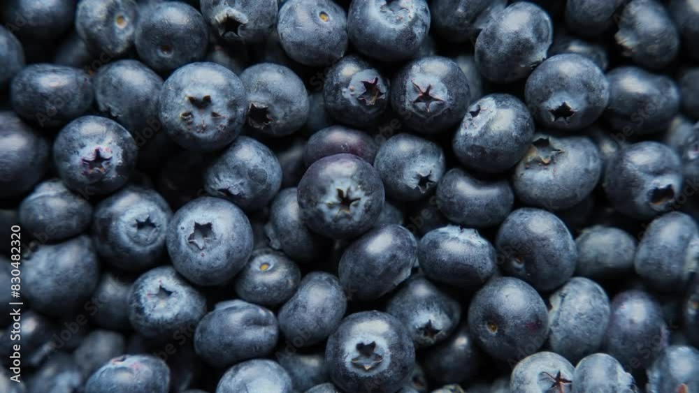 Top view of fresh blueberries. Healthy eating concept. Top view of fresh blueberries. Healthy eating concept.