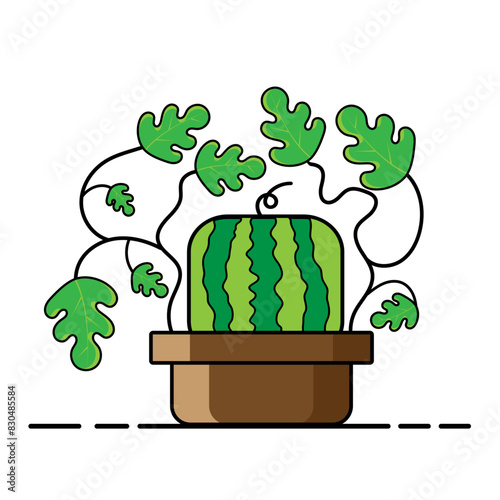 watermelon icon vector