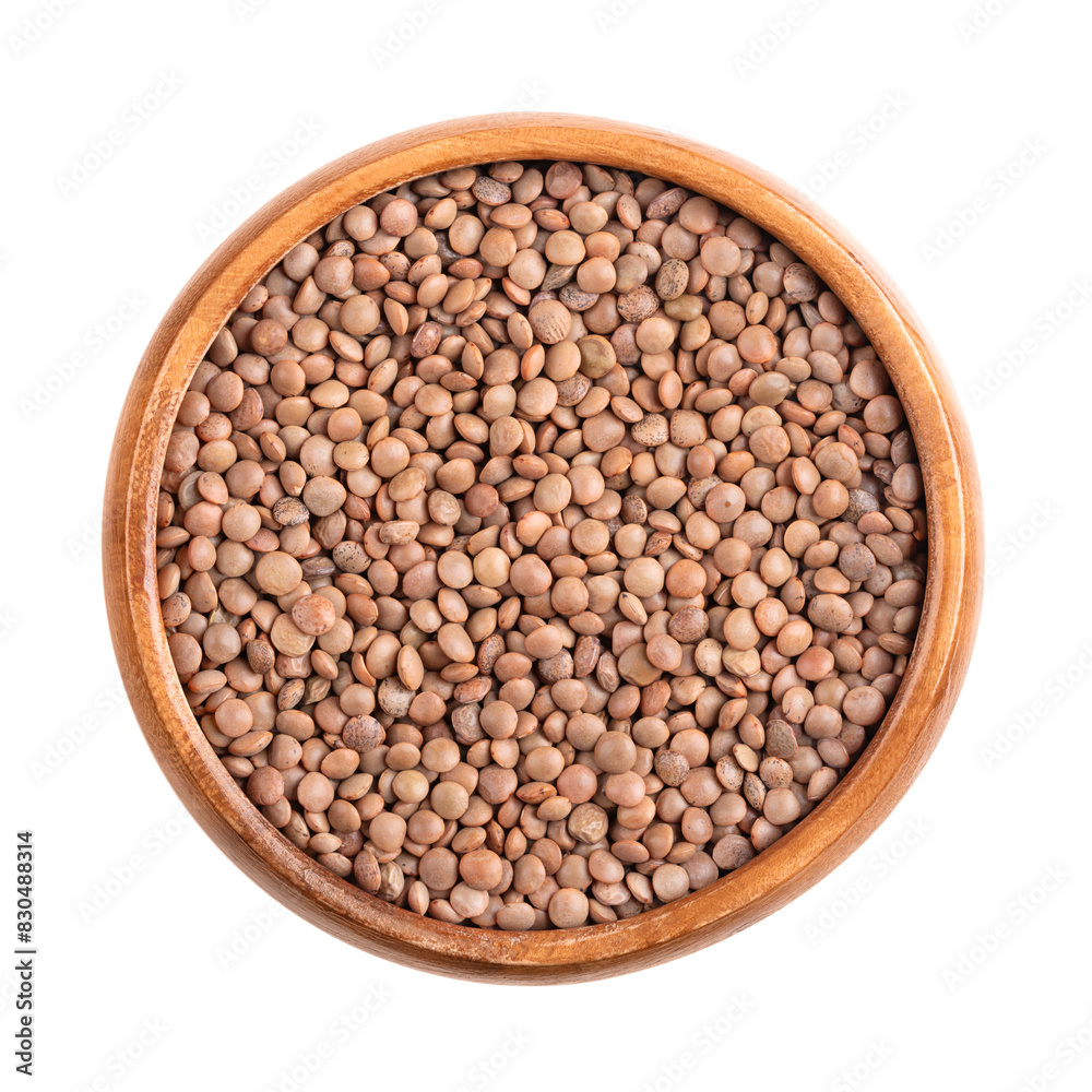 Chateau lentils in a wooden bowl. French specialty and a variety of light brown lentils. Dried fruits of Lens culinaris, an edible legume with lens-shaped seeds. Suitable for salads and as side dish. Chateau lentils in a wooden bowl. French specialty and a variety of light brown lentils. Dried fruits of Lens culinaris, an edible legume with lens-shaped seeds. Suitable for salads and as side dish.