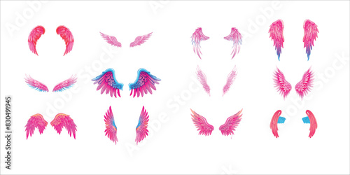 set of pink wings