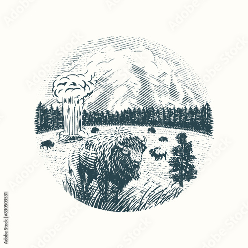 vintage wild roaming bison vector hand drawn illustration