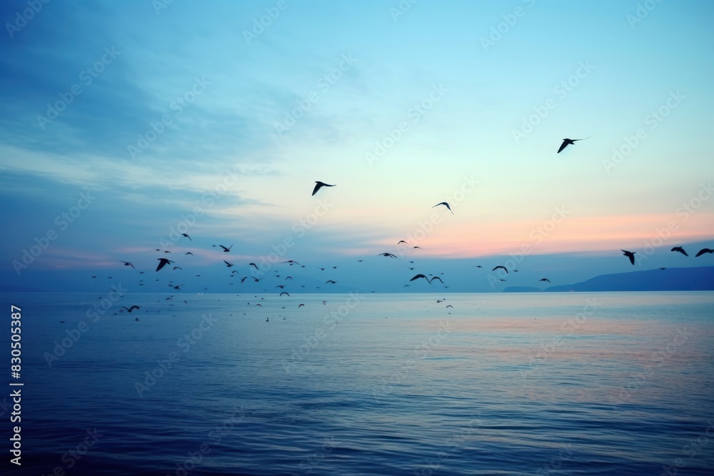 Birds flying over the water sea outdoors horizon.