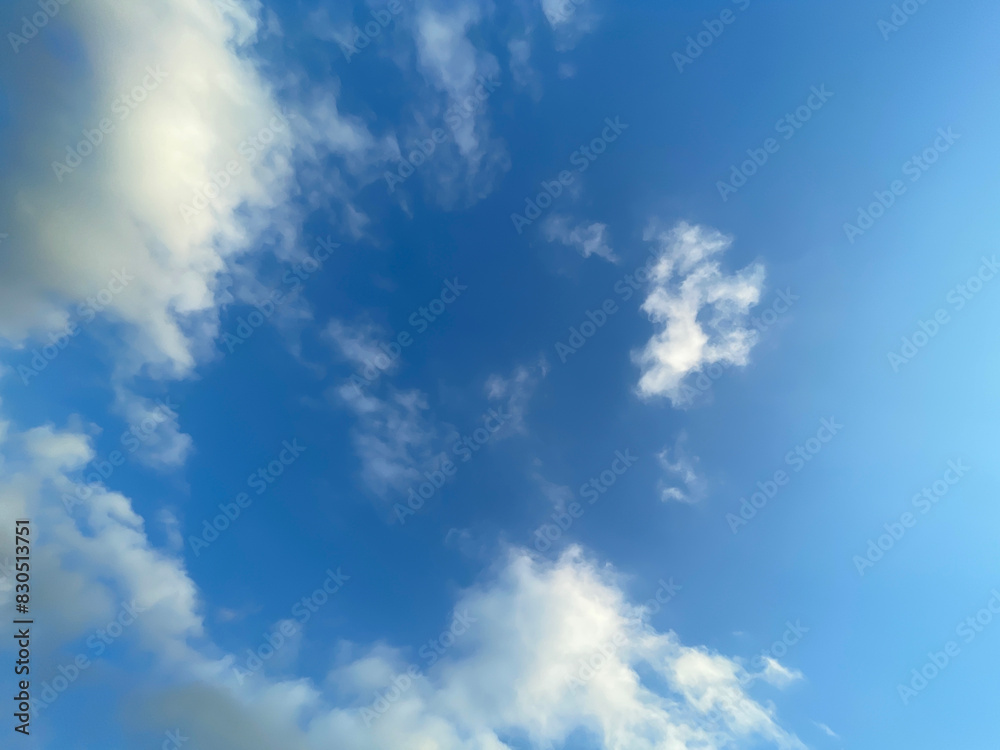 Fototapeta premium sky garden party