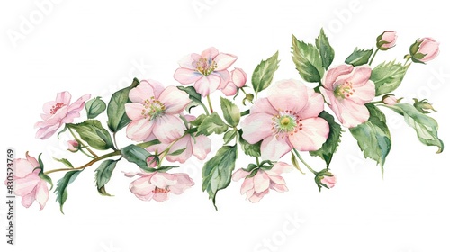   Watercolor painting of pink flowers and green leaves on white canvas