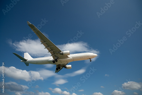 Landing passenger jet airplane at daytime.