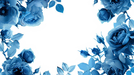 Blue rose white background, vintage flower border