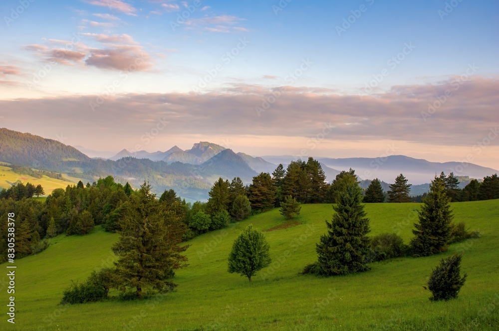Obraz premium Mountain landscape with green meadows, hiking in spring nature. Mountain landscape in the Pieniny National Park at the foot of the Tatra Mountains. Border of Poland and Slovakia