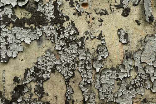 An old, pealed paint on the wall of abandoned building. Cracked paint texture. photo
