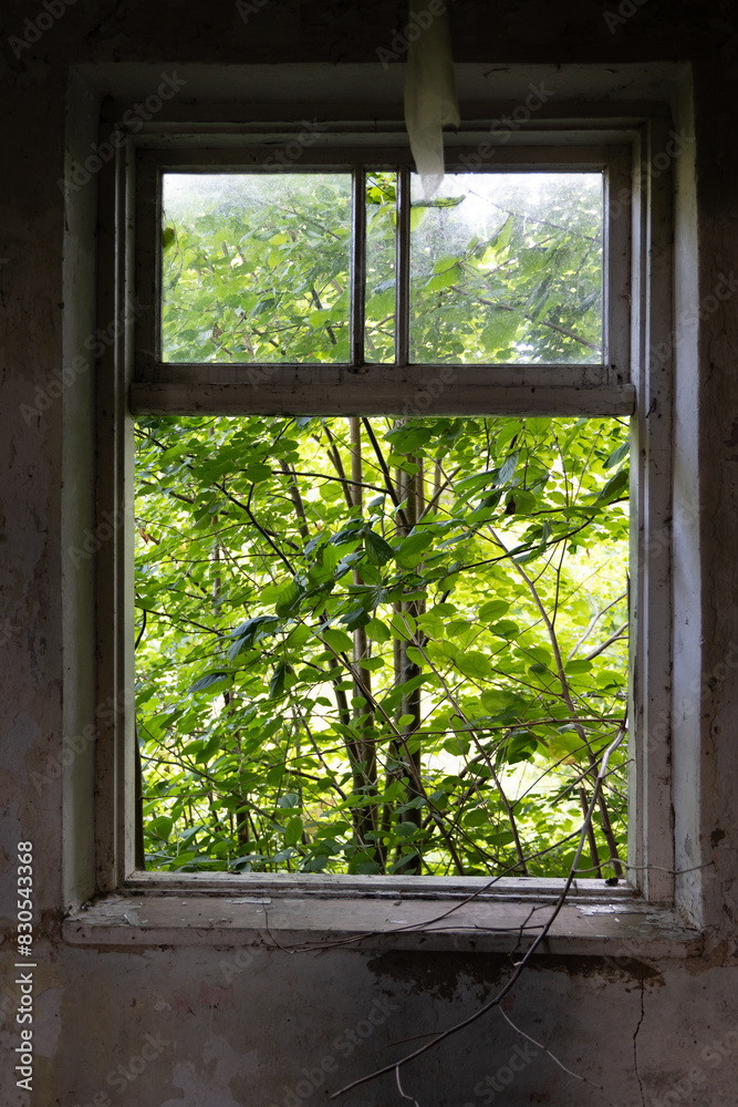 An old, broken window of a rural homestead in Latvia, Europe. Overgrown ruin of collapsed, abandoned house. An old, broken window of a rural homestead in Latvia, Europe. Overgrown ruin of collapsed, abandoned house.