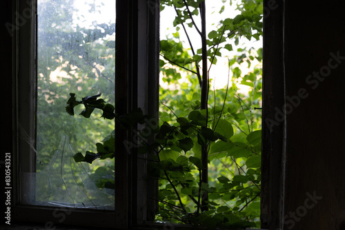 An old  broken window of a rural homestead in Latvia  Europe. Overgrown ruin of collapsed  abandoned house.
