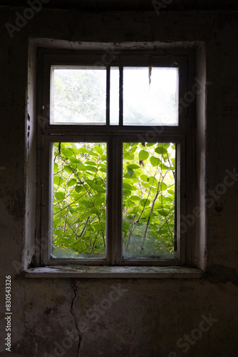 An old, broken window of a rural homestead in Latvia, Europe. Overgrown ruin of collapsed, abandoned house.