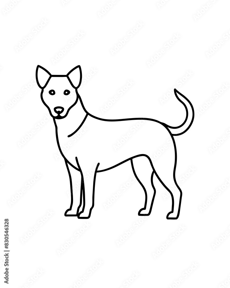 A dog is standing in front of a white background A dog is standing in front of a white background