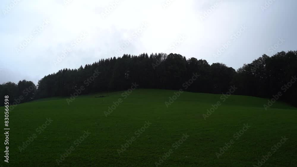 Rain on a grass hill with trees in the afternoon Rain on a grass hill with trees in the afternoon