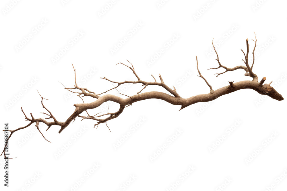 The Whispering Solitude on White or PNG Transparent Background. The Whispering Solitude on White or PNG Transparent Background.