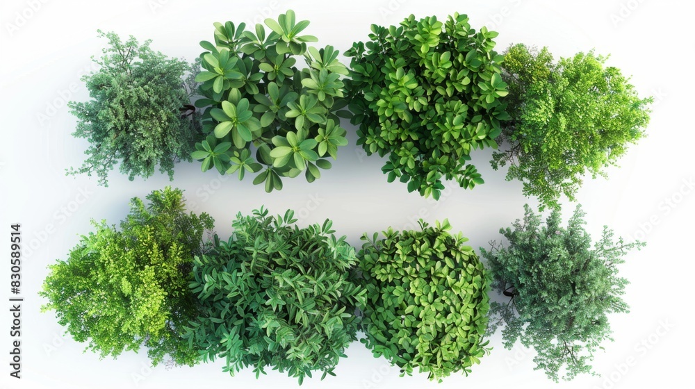 Top view of bushes and trees, Generative AI Top view of bushes and trees, Generative AI