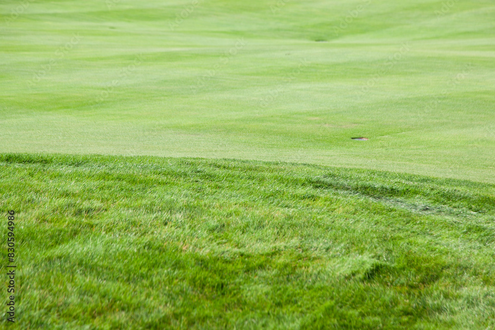 Obraz premium View of the green golf course
