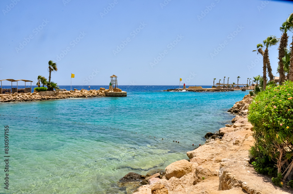 Fototapeta premium Paradise beach on the Red Sea in Egypt
