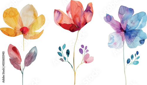 Set of watercolor elegant flowers, isolated for design clipart