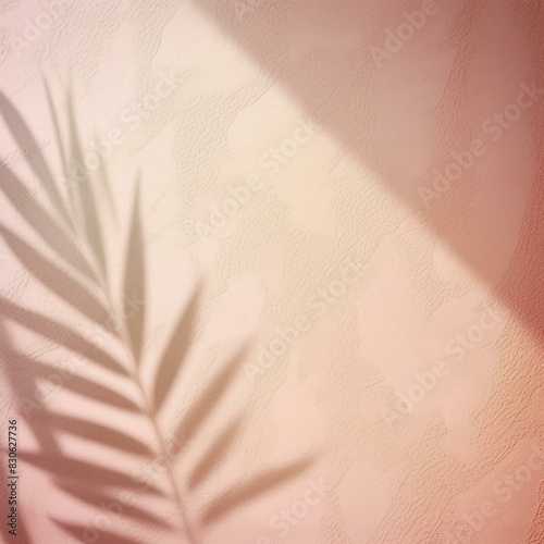 Soft pink background texture pink wall, palm leaf shadow, summery vibes, tropical vibes, millennial pink, product presentation, background photo