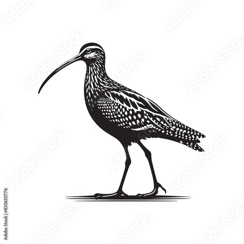 Black Vector Silhouette of a Curlew, Dancing Along the Shoreline in Elegance- Curlew Vector - Curlew Illustration.