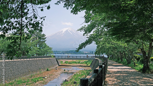 Mt. Fuji in Kawaguchiko  in good weather in summer