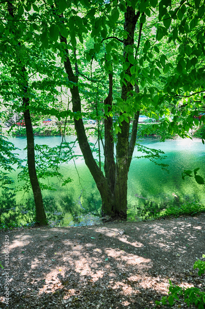 Beautiful lake and spring landscape in Seven Lakes, Yedigoller National Park Bolu, Turkey Beautiful lake and spring landscape in Seven Lakes, Yedigoller National Park Bolu, Turkey