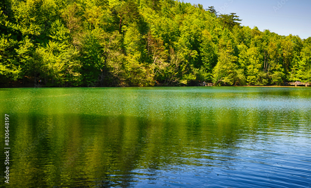 Fototapeta premium Beautiful lake and spring landscape in Seven Lakes, Yedigoller National Park Bolu, Turkey