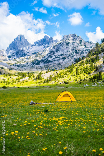 A yellow tent surrounded by yellow flowers in a beautiful valley with a view of snow-covered peaks