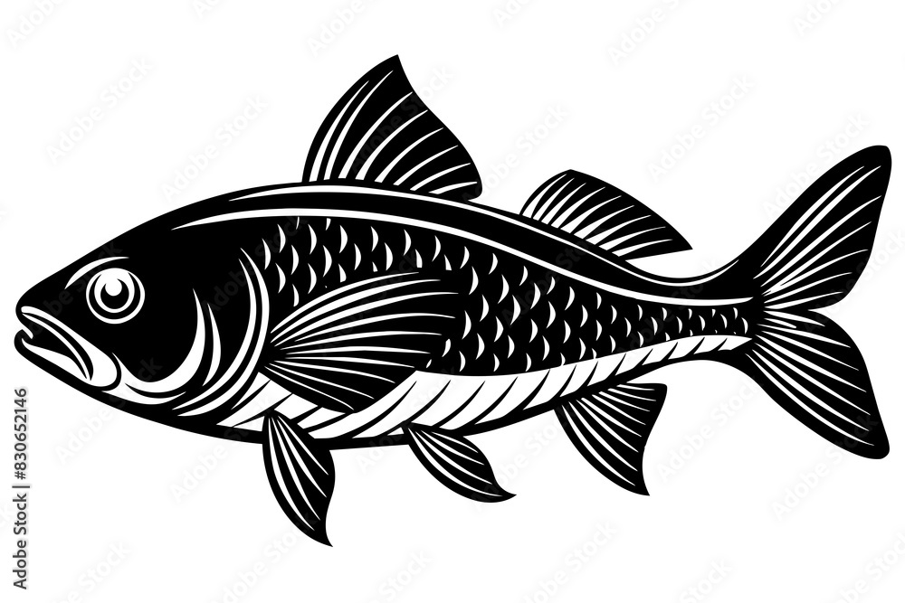 fish silhouette vector illustration fish silhouette vector illustration