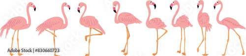 pink flamingos in flat style