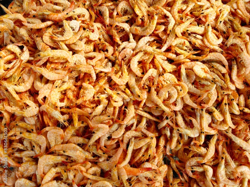 piles of dried shrimp sold as a side dish piles of dried shrimp sold as a side dish