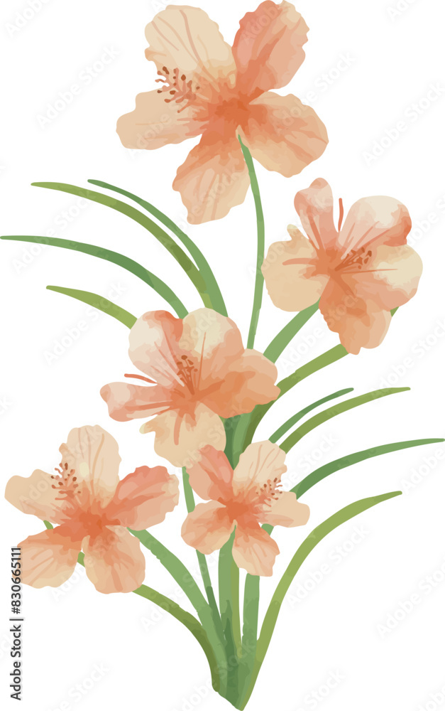 Fototapeta premium Vector Watercolor tropical bouquet with pink flower, leaves. Template, design elements for greeting cards, invitation, gender party, baby shower, birthday, event, holiday, wedding card, printable, EPS