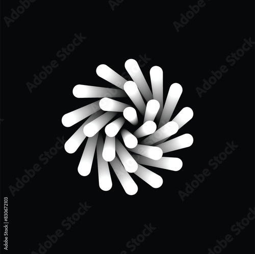 white flower isolated on black