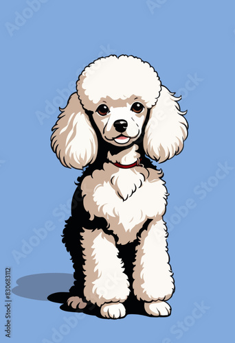 a white poodle sitting on a blue background