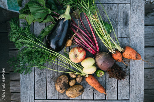 frisches geerntetes Obst und Gemüse aus dem Schrebergarten, Selbstversorger und Anbau frische Ernte