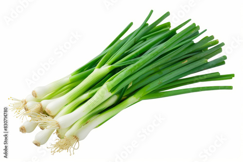 Fresh Green Spring Onions Isolated on White Background