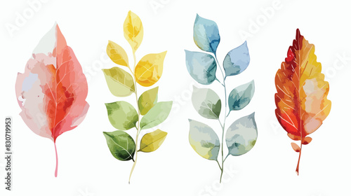Watercolor illustration Four of leaves and nature ele