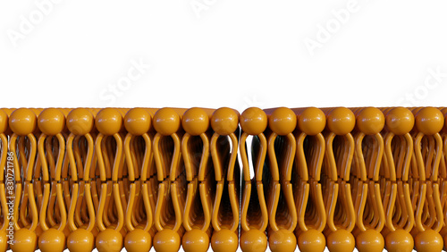 3d rendering of lipid bilayer on the white background photo