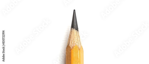 White background with a high detail pencil