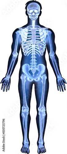 Realistic watercolor x-ray illustration of a human skeleton isolated on a dark background