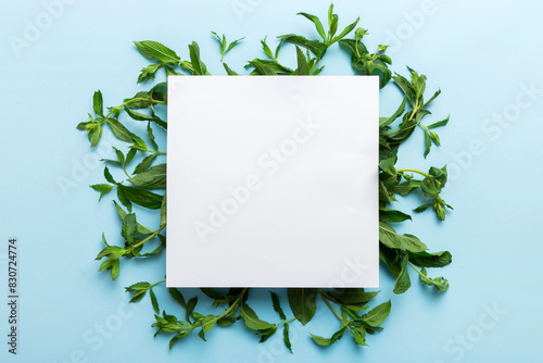 Wreath frame made of empty paper blank with space for text and mint leaves on colored background. . Mint Pattern. Flat lay. Top view