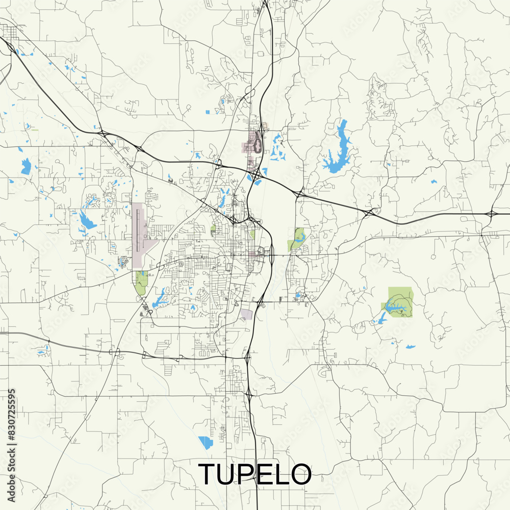 Tupelo, Mississippi, United States map poster art